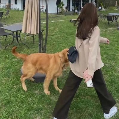 神奇的汉字第二季